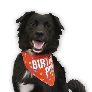 Woof Birthday Pup Bandana Small to Medium Dogs 13 to 15 Inch Adjustable Neck New